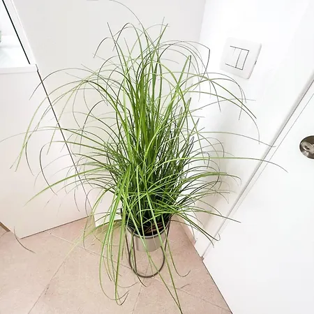 Apartamento Harbor Light *